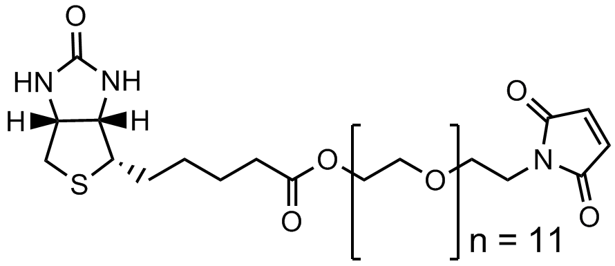 马来酰亚胺十一聚乙二醇生物素酯